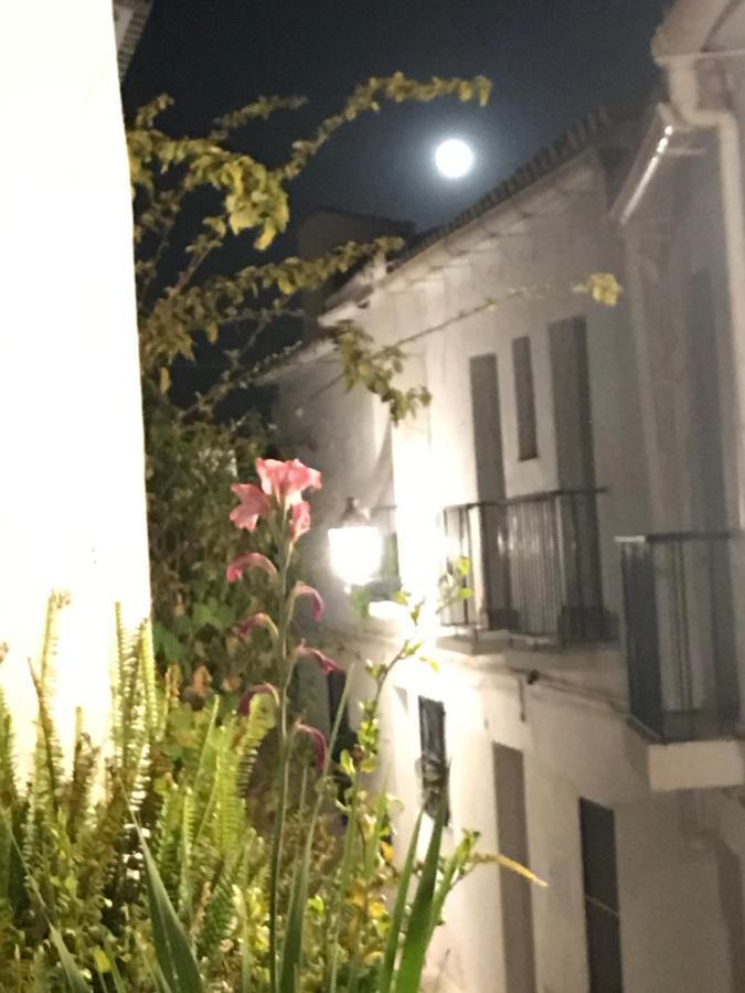 El Corralon ξενώνας Frigiliana Εξωτερικό φωτογραφία