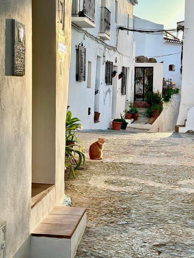 El Corralon ξενώνας Frigiliana Εξωτερικό φωτογραφία